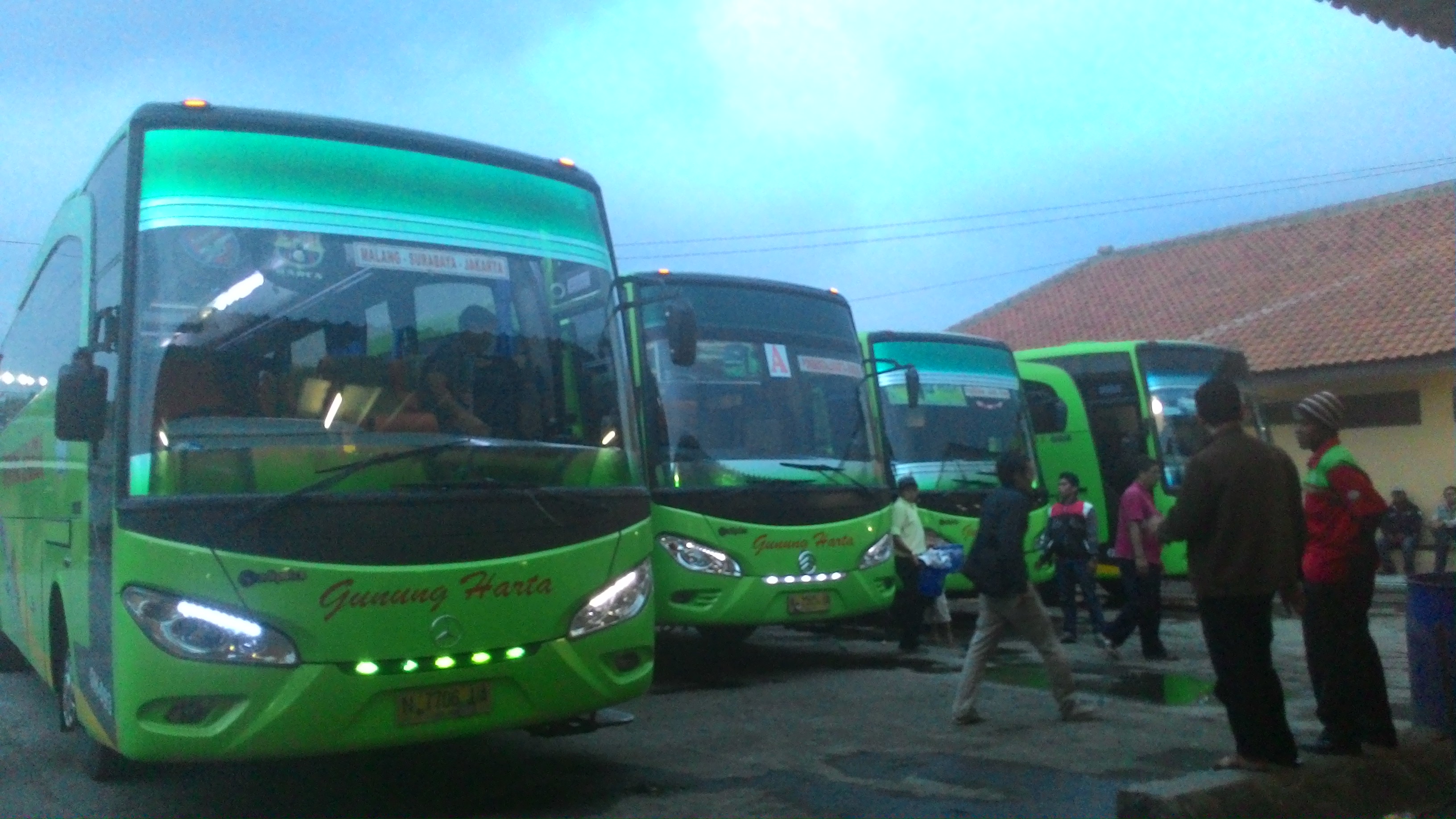 Agen Burga Bus Tiket Bus Po Bus Damri Denpasar